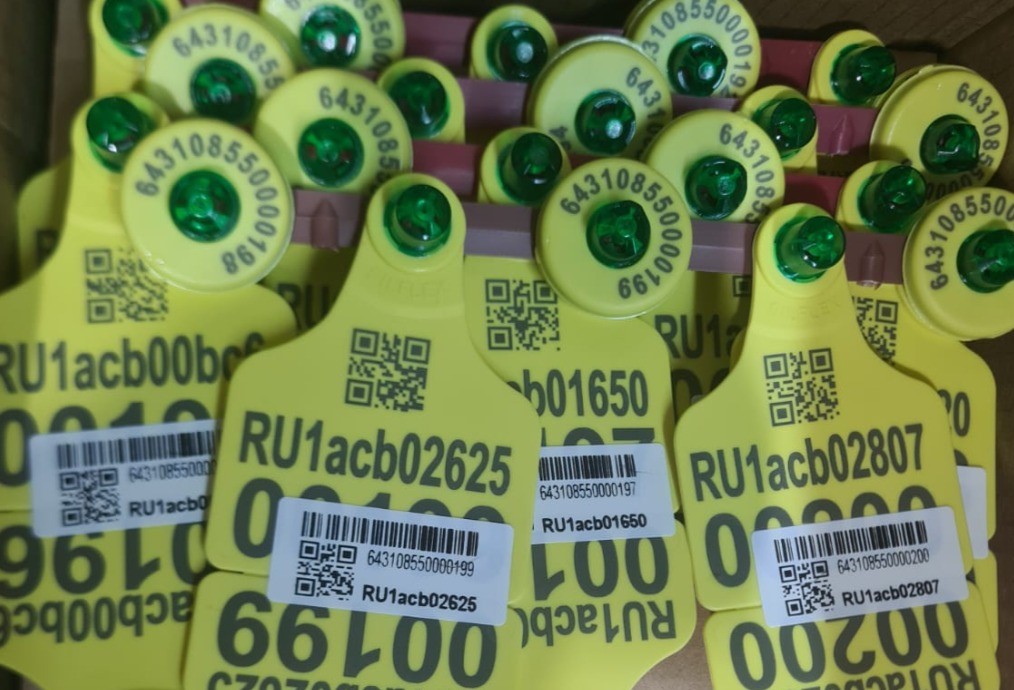 Ушные бирки &laquo;Силфлекс&raquo; оснастили QR кодами